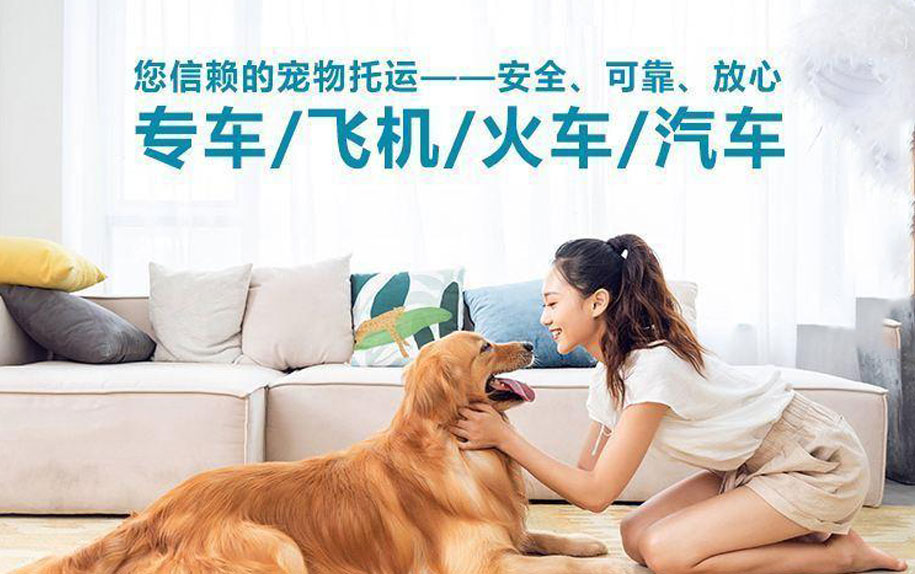 上门接送服务
